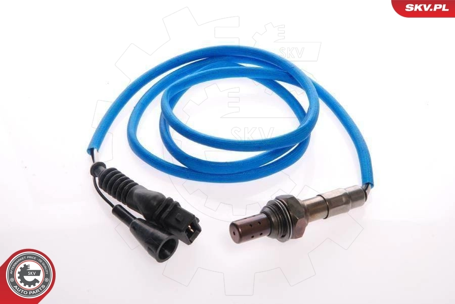 Oxygen Sensor
